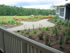 Second part of Landscaping Advice