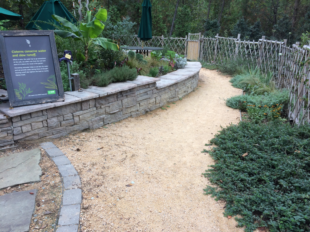 Walkway of Museum Garden