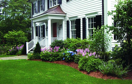 Non-Native Foundation Planting