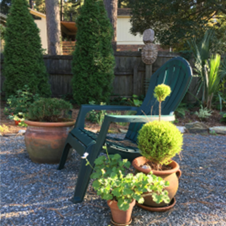 Chair, trees, and potted plants