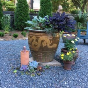 Container Pots