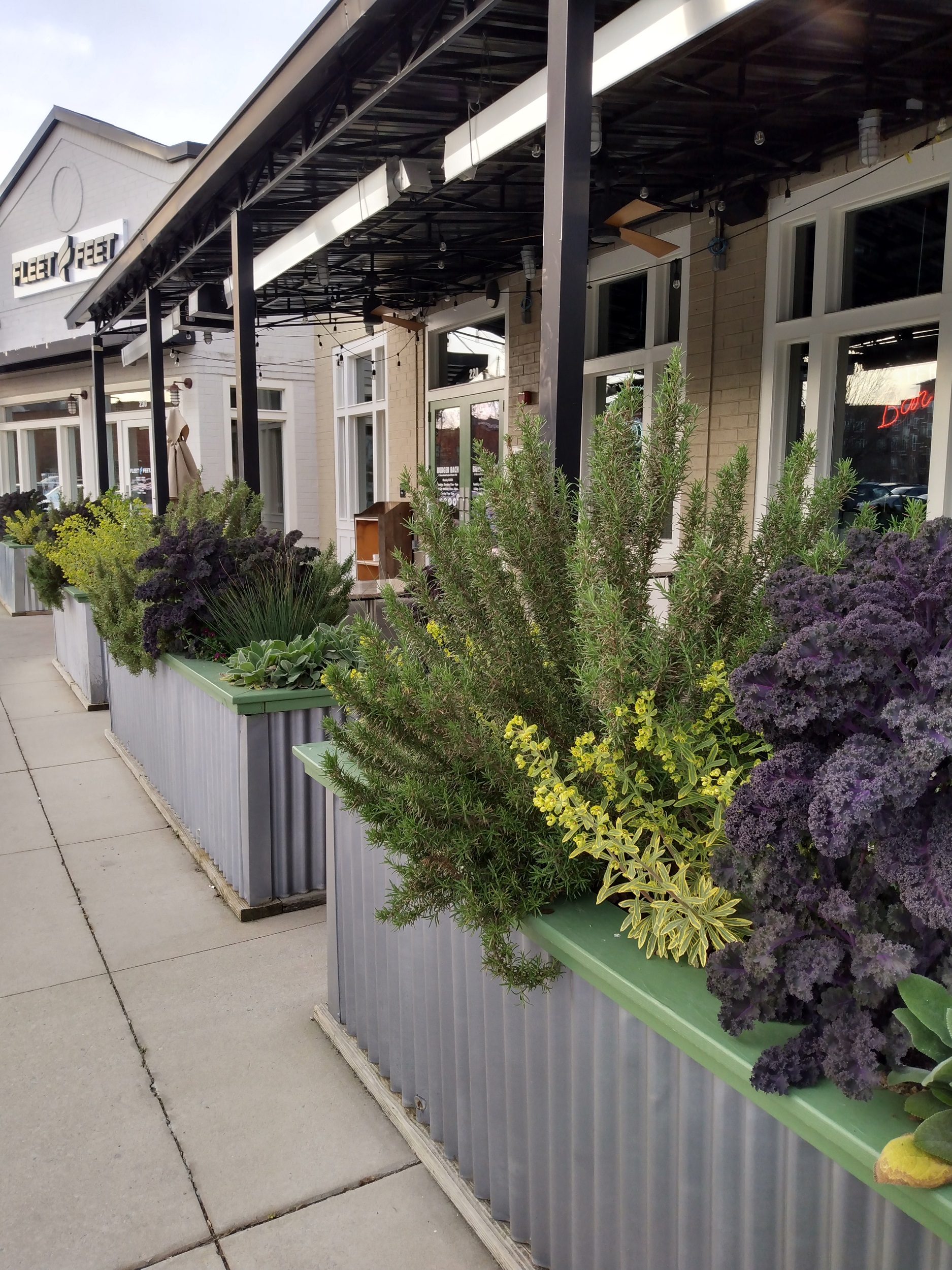 Container Plant Installation Restaurant Patio