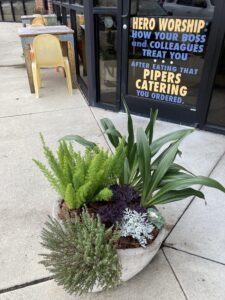Mixed Container Planting Outside of Restuarant