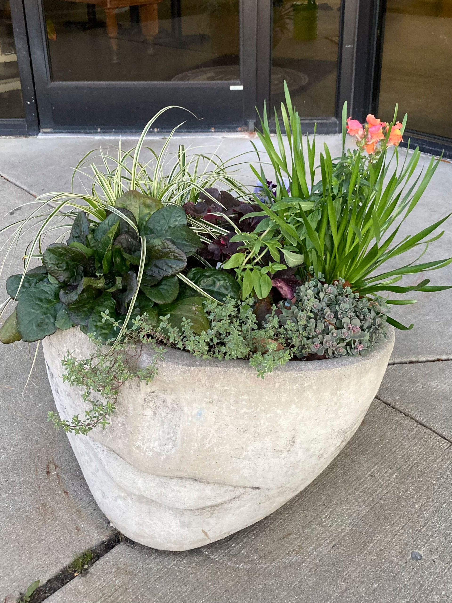 Mixed Container Planting with Beautiful Blooms
