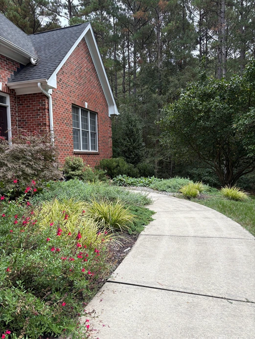A vibrant Durham landscape featuring a brick house with a curved walkway lined by lush greenery, colorful pink flowers, and ornamental grasses, set against a backdrop of tall pine trees.